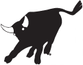 bull